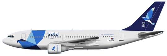 Aircraft Type: Airbus A310-300