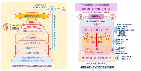 旬(ときめき)亭の考える ガンに代表される生活習慣病への対処法