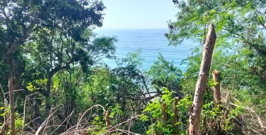 South Sumba land for sale