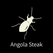 angolasteak ページ！