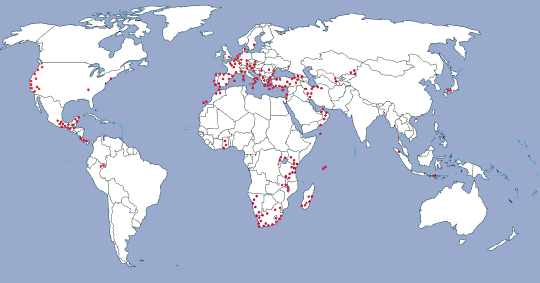 I have searched for amphibians and reptiles in 52 countries to date.