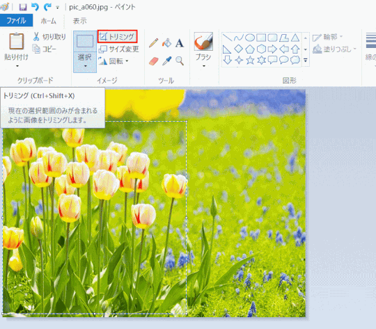 jdgPA4_19:「トリミング」ボタンをクリックする