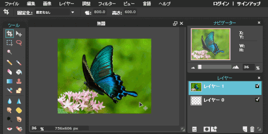 P50_04:画像が切り抜かれる