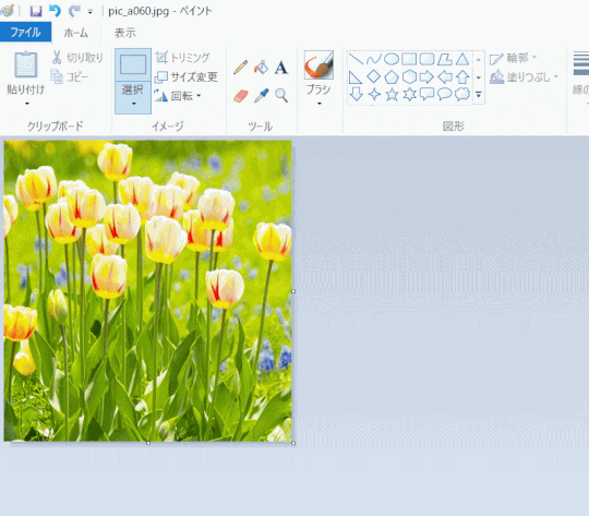 jdgPA4_20:トリミングされた