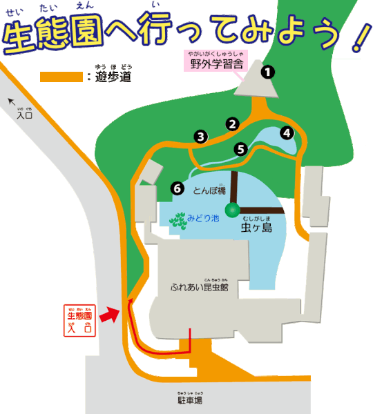 野外生態園 ビオトープ 石川県ふれあい昆虫館 石川県ふれあい昆虫館