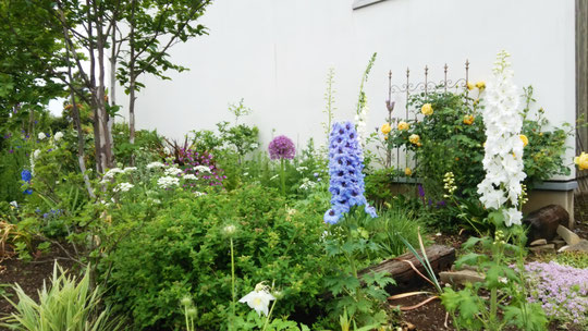 Hiro Perennial Garden - 群马県太田市 ヒロ ペレ