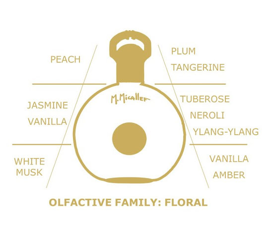 WATCH - PYRAMIDE OLFACTIVE