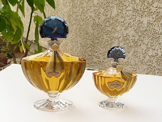 1924 - SHALIMAR - FLACONS AMPHORE PARFUM : 60 ET 30 ML - CRISTAL DE BACCARAT