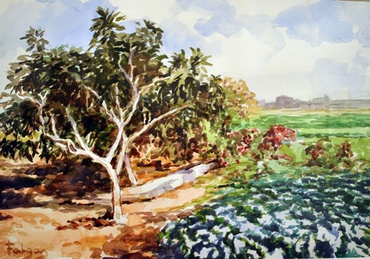 paisaje de huerta