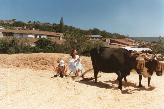 A Javi le puede el calor. F. de Pedro. P. Privada.