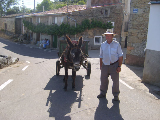 Se acabó el trabajo por hoy Sr. León. Vuelta a casa. Merche 2011. F. P. Privada.