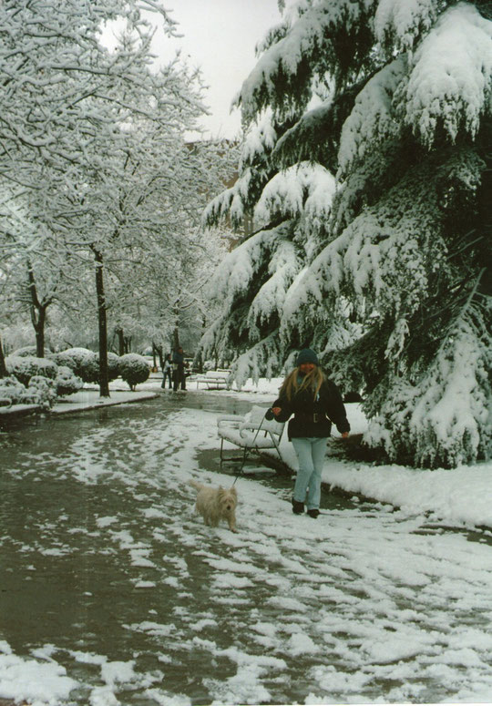  Paseo invernal con perrito. F. Pedro. P. Privada.