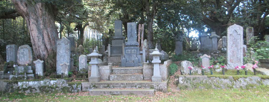 中央妙成寺の塔頭の墓を挟み、左が中駄家、右が長濵家の墓。