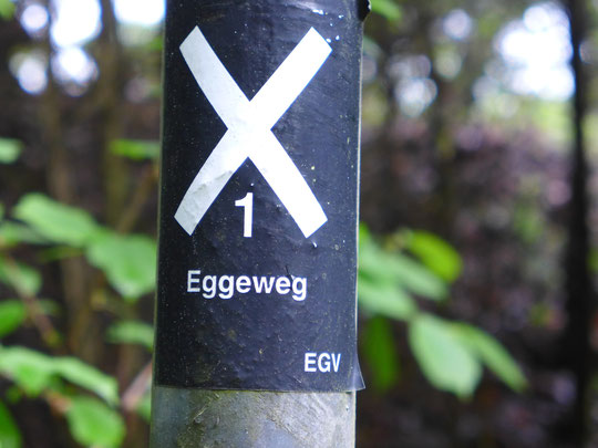 Nach Ostfrieslandwanderweg, Hünenweg, Hermannsweg jetzt der Eggeweg, soll sehr schön sein