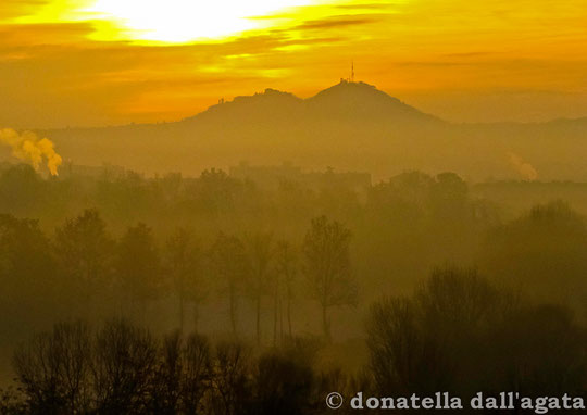 L'alba del 10 gennaio 2014 vista dall'Ospedale Pierantoni guardando verso le colline Bertinoresi: un'atmosfera di luce che pervade il paesaggio nebbioso.