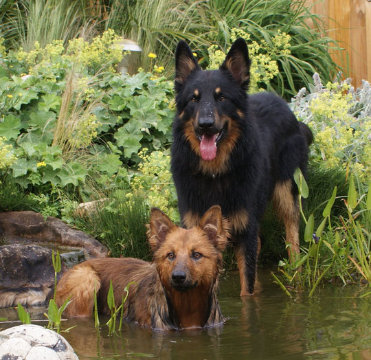 Zora und Alf