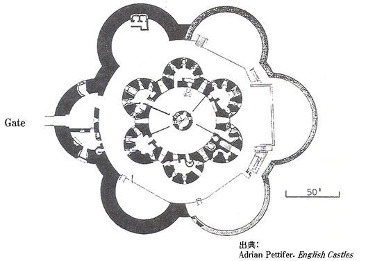 平面図