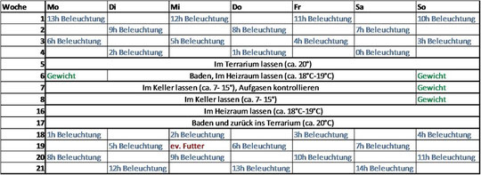 Beispielplan