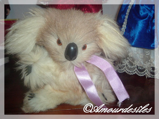 Petit Koala en pelûche ramenée de l'un de mes voyages en Nouvelle-Zélande...en 1988.