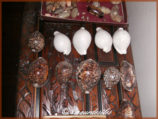 Des Ovulaovums blanches avec des porcelaines