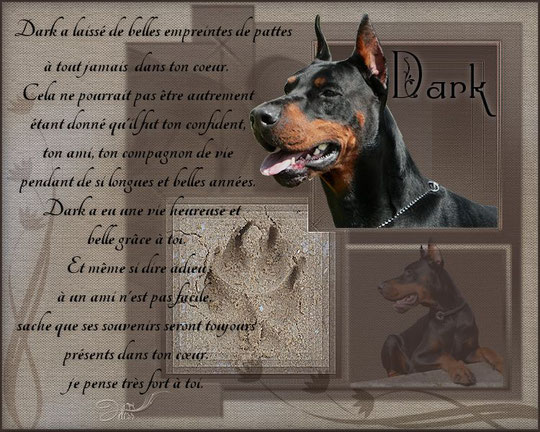 Champion Dark de la Vallée de la Seine