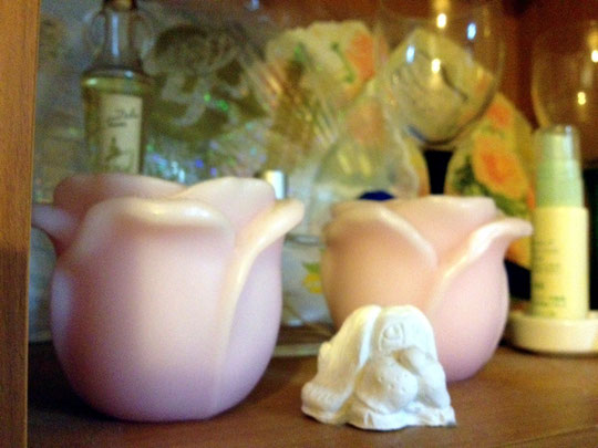 ピンぼけしてしまった写真も