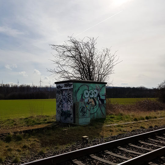 12 von 12 März 2022, Der Frühling kommt, art is everywhere