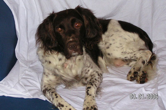 Berry 11/1998 - 05/2010