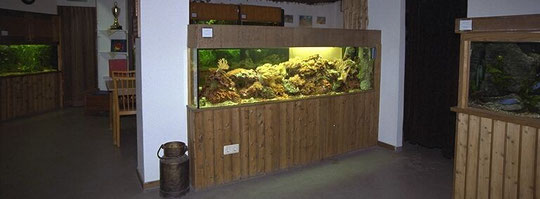 Das Meerwasseraquarium am Eingang zum Börsenraum