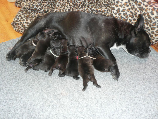 les bébés ont 6 jours