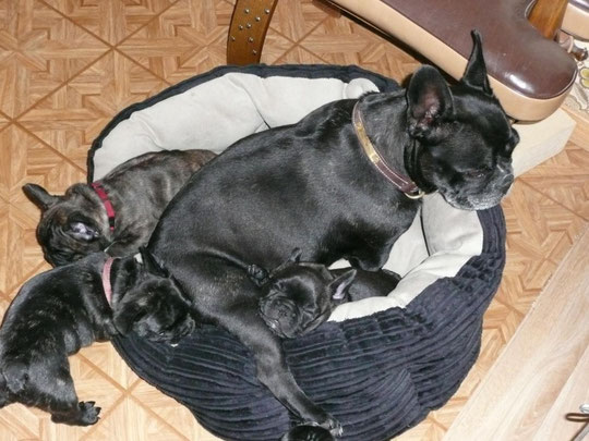 Promis, je vous achèterai un pouf plus  spacieux !!!