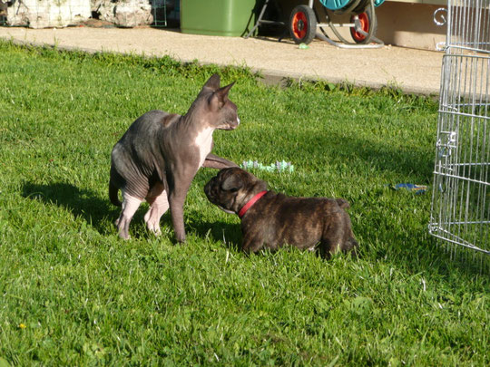 Djune & Dock