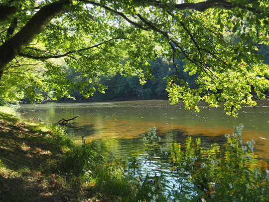 La randonnée en canoë d’Argentat à Beaulieu 