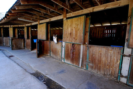 Ferme Equestre de Mialaret