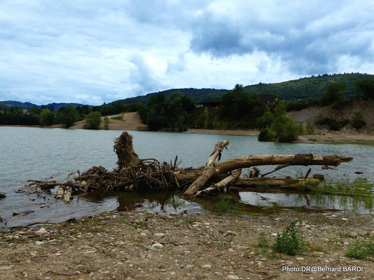  Réserve de Biodiversité à Argentat-sur-Dordogne  (Corrèze) 