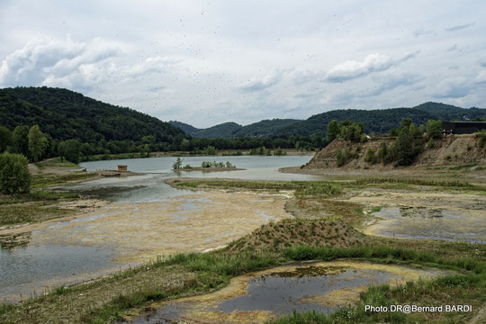  Réserve de Biodiversité à Argentat-sur-Dordogne  (Corrèze) 