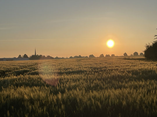 Blick vom Borsumer Wald Richtung Ortschaft bei Sonnenaufgang (Foto: Kauer)