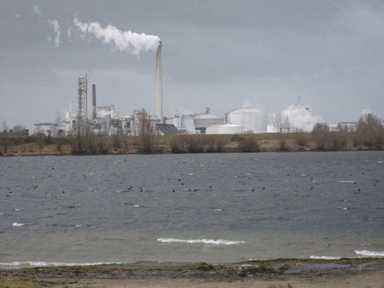Natur und Industrie in unmittelbarer Nachbarschaft (Foto: Kauer)
