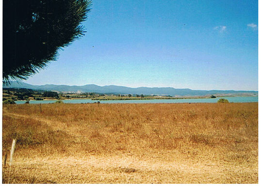 Lago Cecita