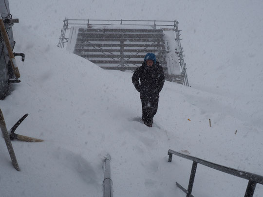 10h ce mardi matin, c'est le printemps au refuge pour notre stagiaire de la formation "gardiens-ennes de refuge" qui est montée hier pour 10 jours de "stage pratique" au Promontoire... Bon courage  !