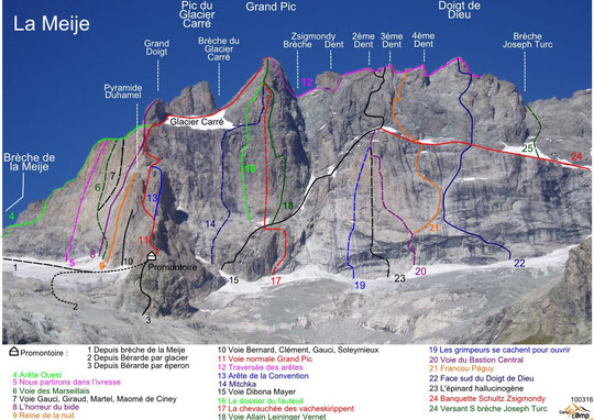 LE JEUNE BOUQUETIN que les alpinistes ont eu l'énorme surprise de rencontrer vers 3700m a très probablment emprunté (sans le savoir)  l'itinéraire des pionniers de la Face Sud (en 1912), l'itinéraire  15 sur cette photo de Camptocamp.