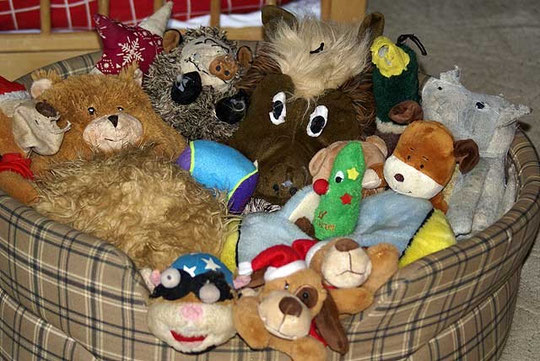 Ein Hundebett voller Plüschtiere