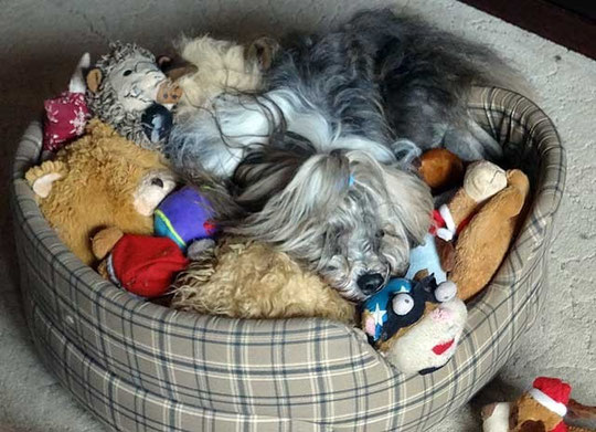 Alles meins!