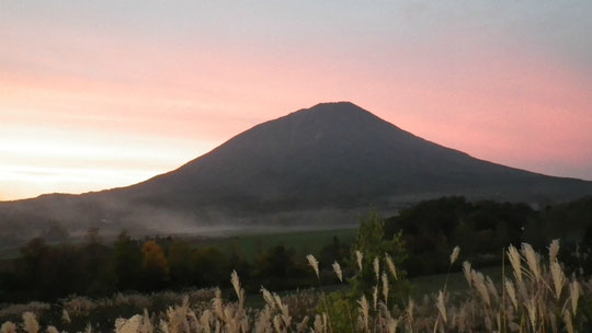 真狩温泉から　夕日の照り返しに彩られた羊蹄山