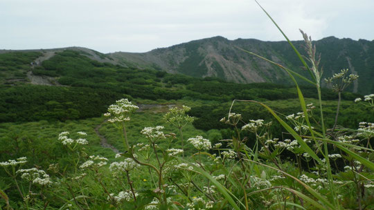 8月だが、どこかかすかに秋の気配も感じる外輪の風景