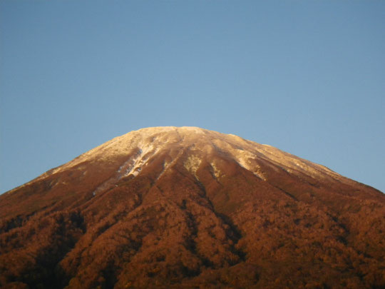 冠雪の羊蹄山　京極より