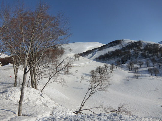 姥沢より月山方向を望む