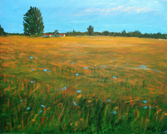 campagna - 50 X 40 - olio su tela