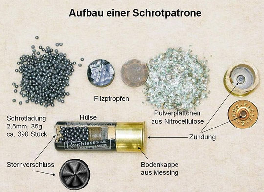 Schrotpatrone