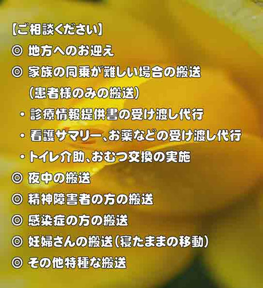 【ご相談ください】 地方へのお迎え/家族の同乗が難しい場合の搬送 （患者様のみの搬送） ・診療情報提供書の受け渡し代行 ・看護サマリー、お薬などの受け渡し代行 ・トイレ介助、おむつ交換の実施 /夜中の搬送 /精神障害者の方の搬送 /感染症の方の搬送 /妊婦さんの搬送（寝たままの移動）/嘔吐対応の搬送